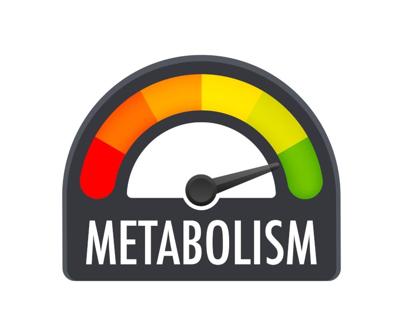 accelerare il metabolismo