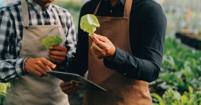 alimentation et durabilité