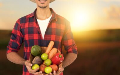 La Relación entre Alimentación y Sostenibilidad