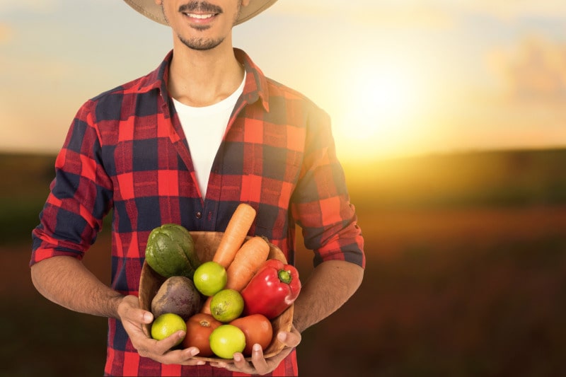 alimentation et durabilité