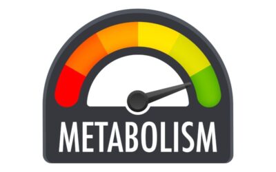 2 Tips on How To Boost Your Metabolism with Food